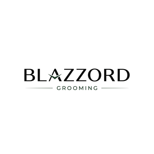 Blazzord